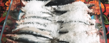 Tuzlanmiş balik – Rezept für Fisch mit Meersalzkruste