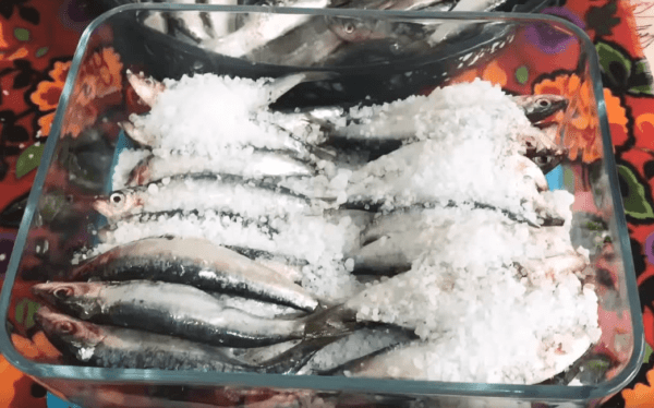 Tuzlanmiş balik Tarifi: Fisch mit Meeralzkruste - Rezept auf deutsch
